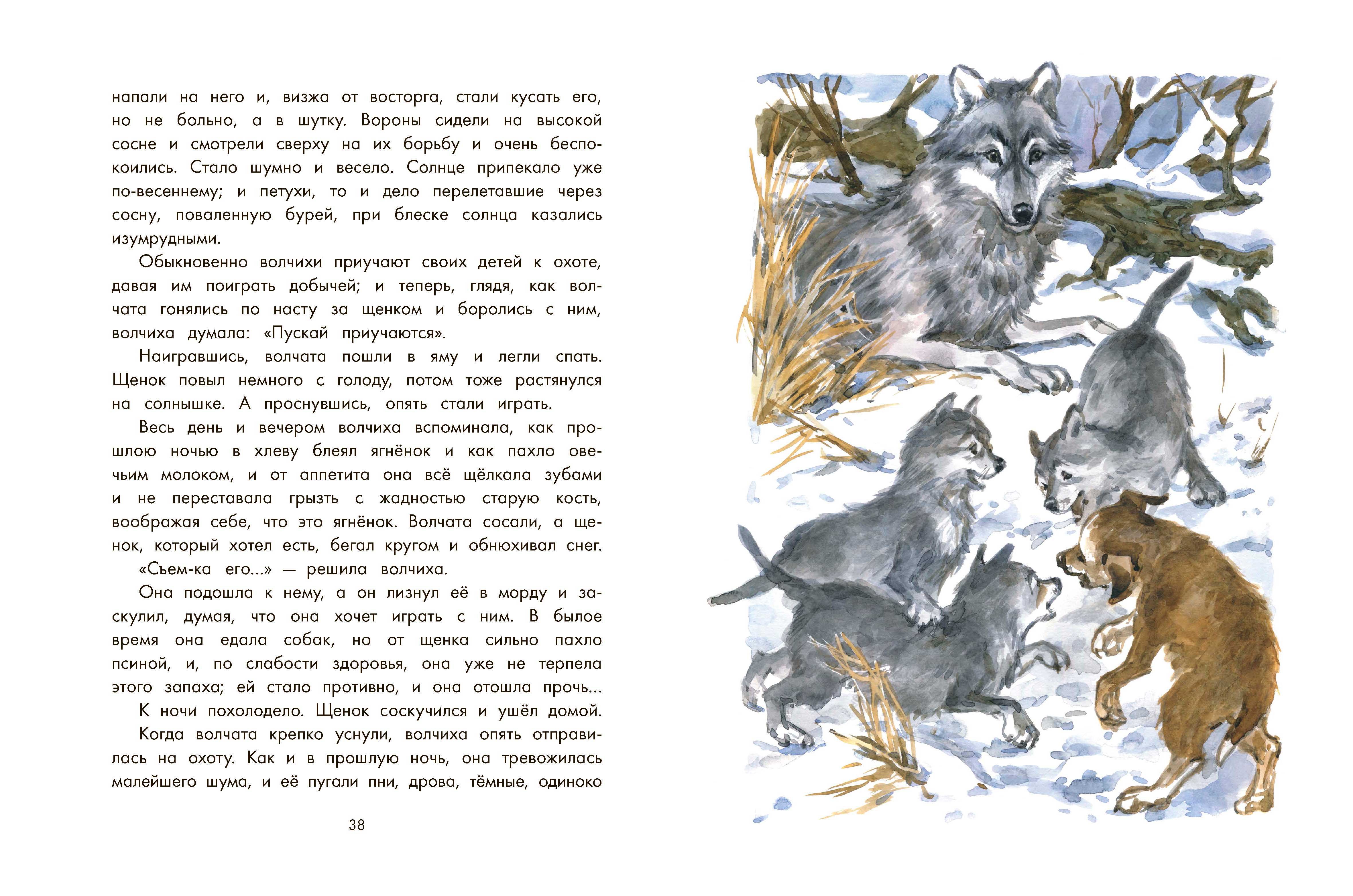 Книга Качели Мальчики Каштанка Ванька и другие рассказы - фото 7