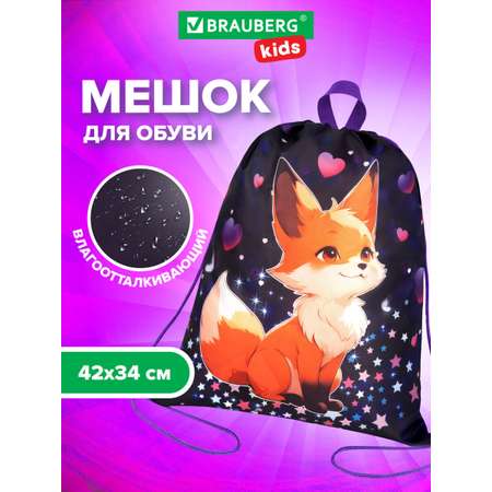 Мешок для обуви Brauberg