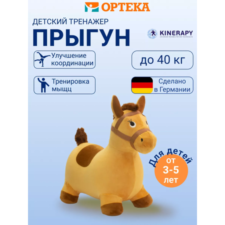 Прыгун KINERAPY 40 см