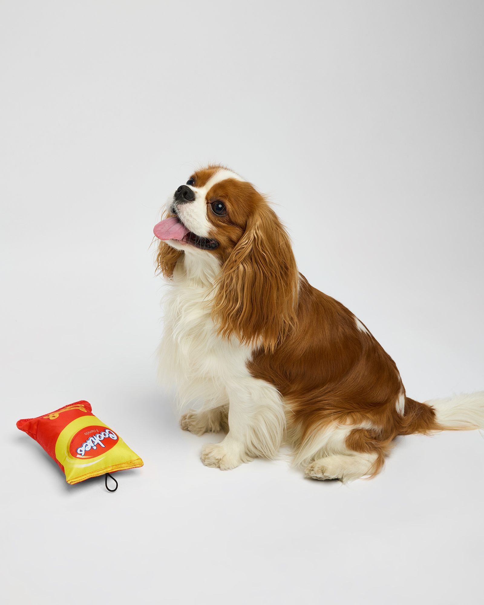 Игрушка для собак Barbaks Пакет снеков особо прочный шуршит 20*14 см - фото 7