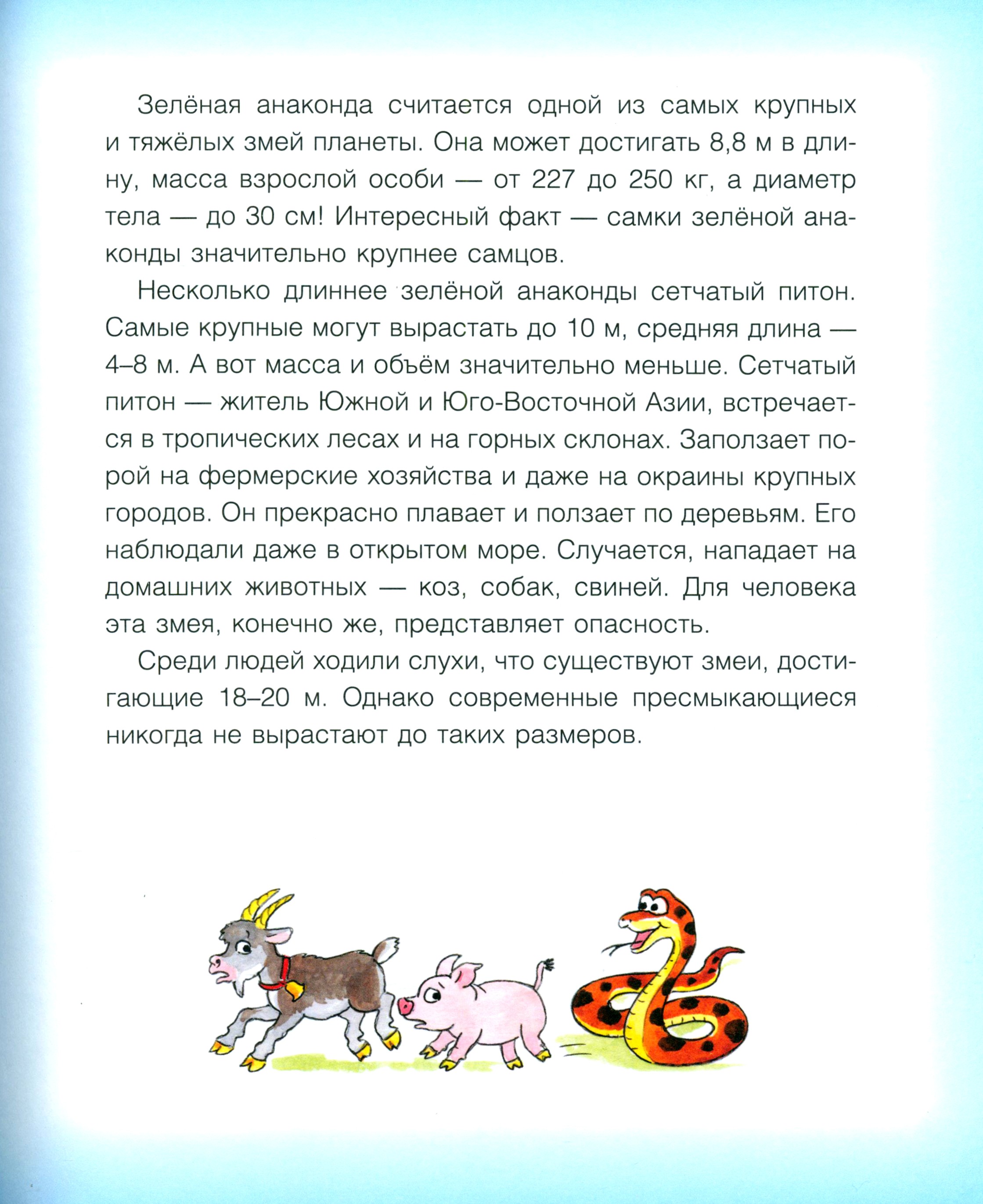 Книга Качели Где у птицы компас. Почемучкины вопросы - фото 7