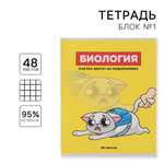 Тетрадь ArtFox STUDY