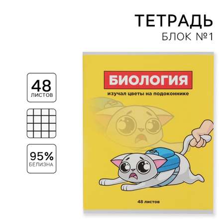 Тетрадь ArtFox STUDY