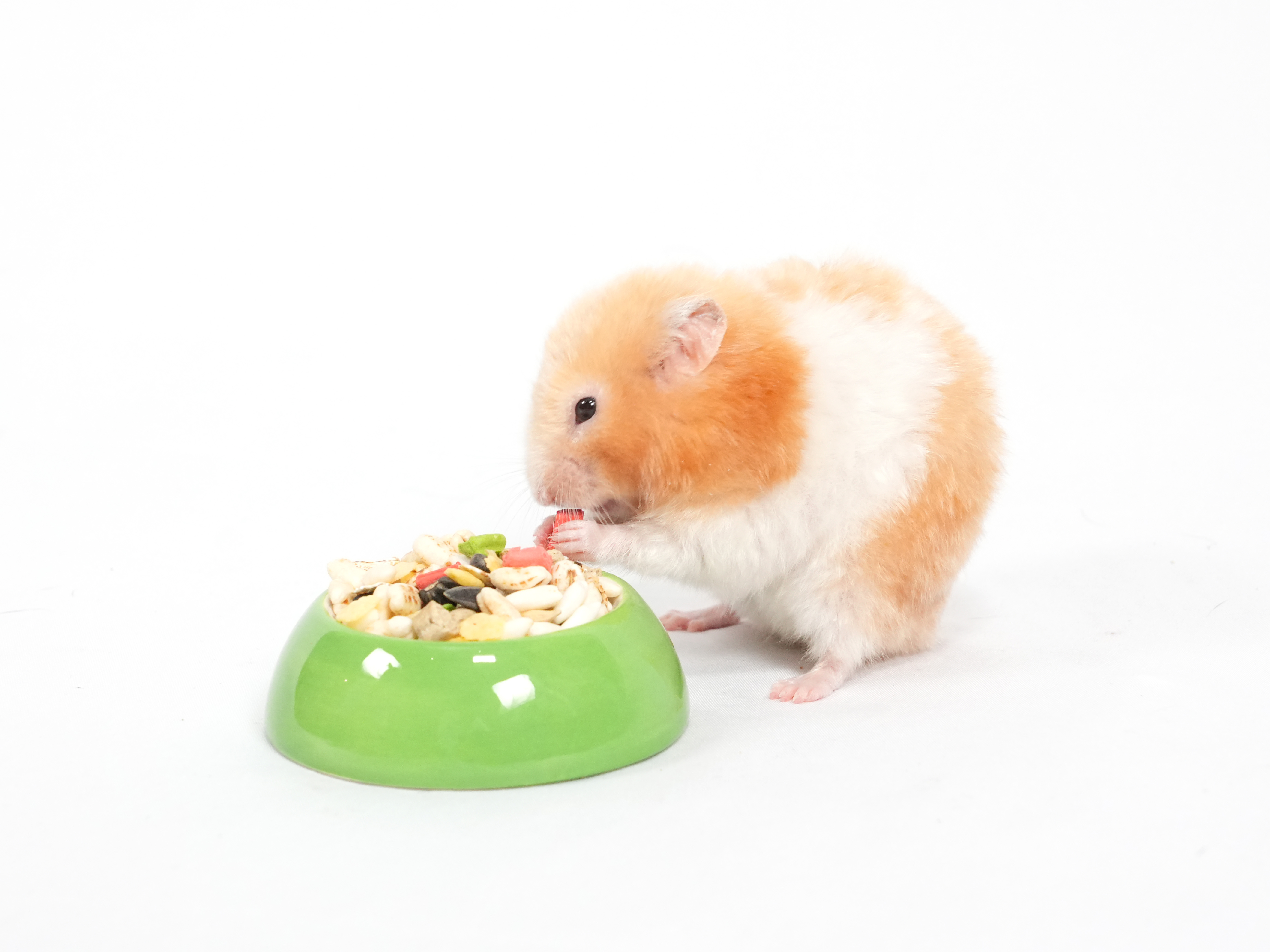 Корм для хомяков Bambini Pets 400г - фото 4
