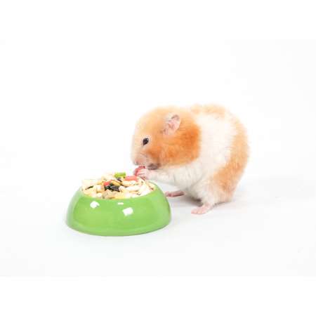 Корм для хомяков Bambini Pets 400г