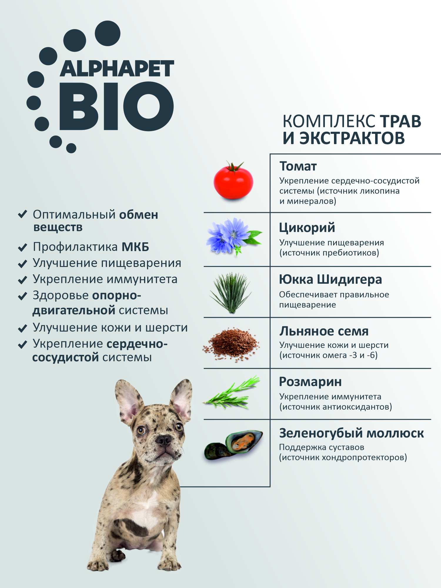 Сухой полнорационный корм холистик AlphaPet с говядиной и рисом для щенков, беременных и кормящих собак средних пород 2 кг - фото 6