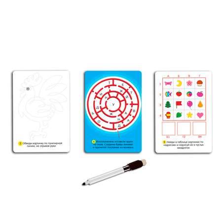 Карточная игра Дрофа-Медиа Головоломки 5-7 лет 3565