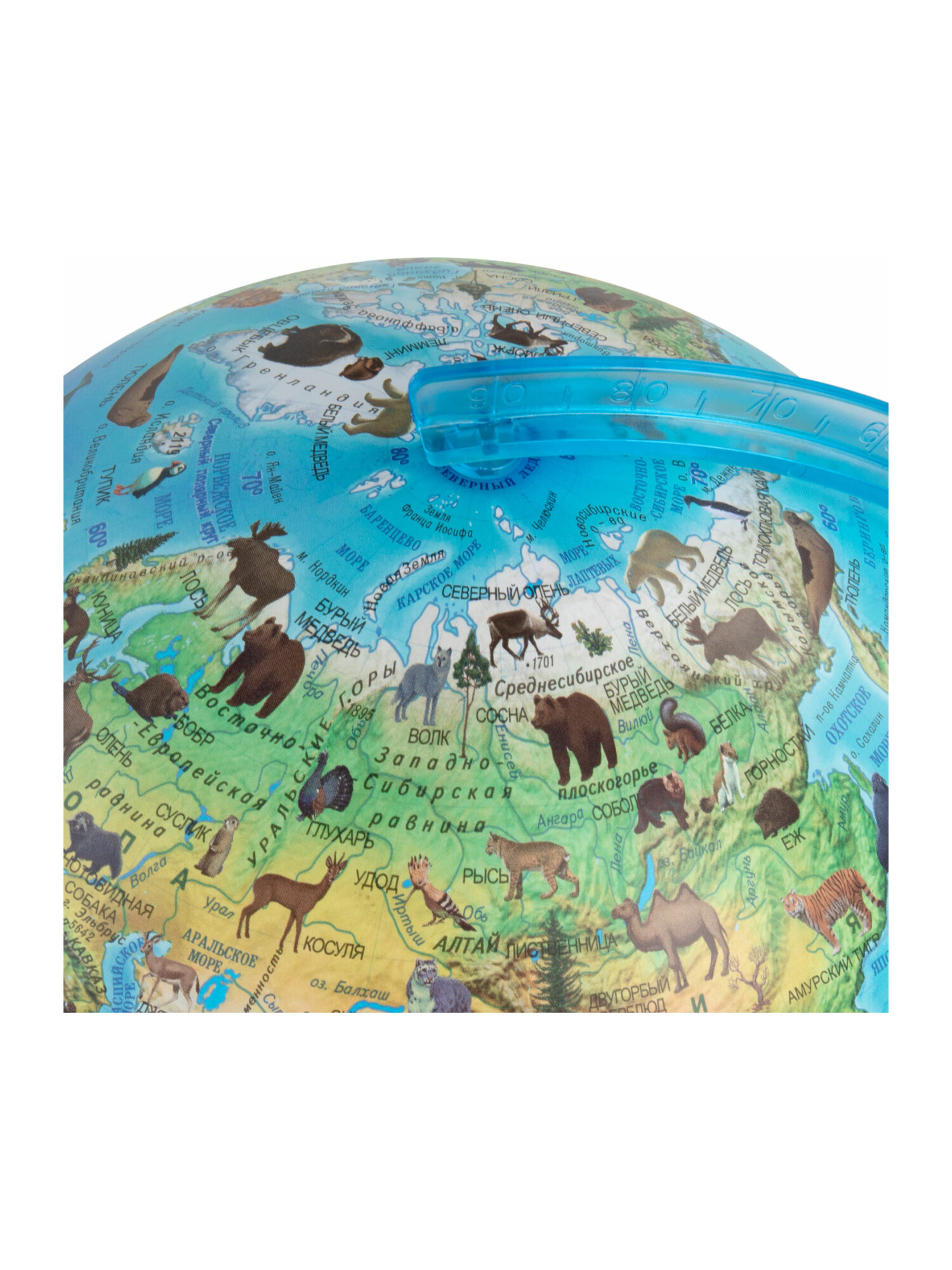 Глобус Globen интерактивный зоогеографический с подсветкой и VR очками диаметр 25 см - фото 17