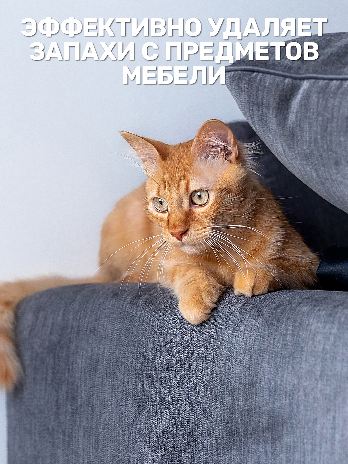 Набор для собак и кошек ZOORIK чистый дом 250+250 мл - фото 8