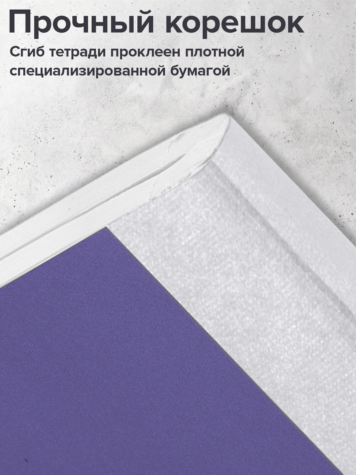 Тетрадь Brauberg клетка 96 лист. 2 шт. - фото 4