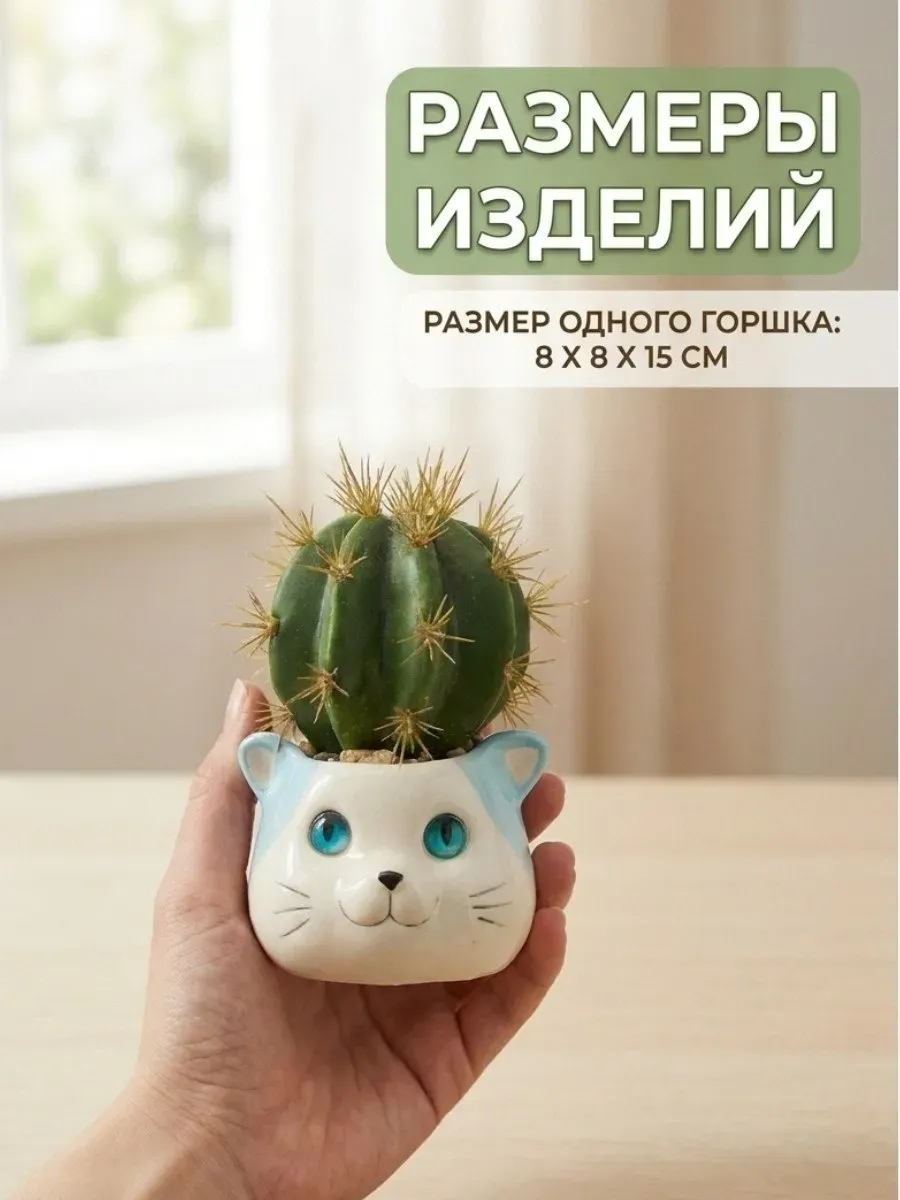 Искусственные цветы SOFANNA кошка 1 2 суккулент силикон - фото 2