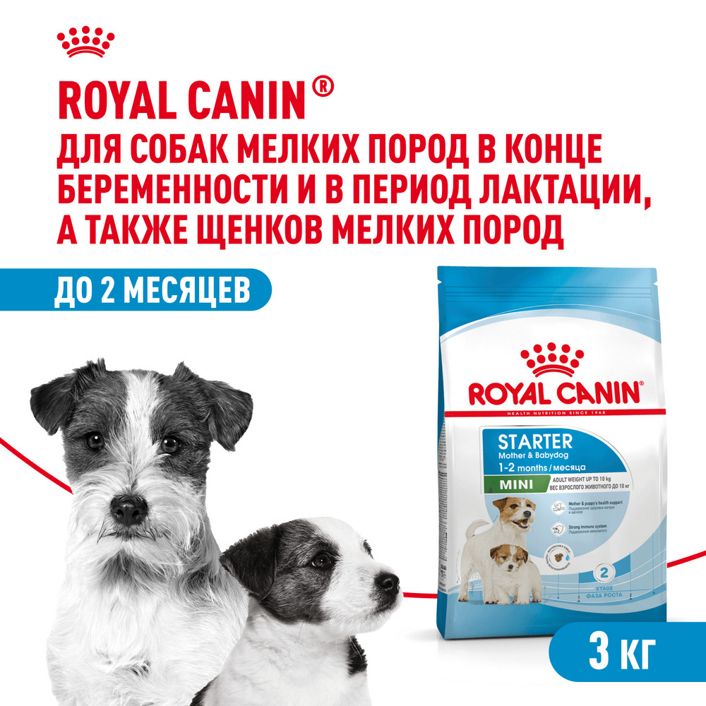 Корм для щенков ROYAL CANIN Starter мелких пород 3кг - фото 1