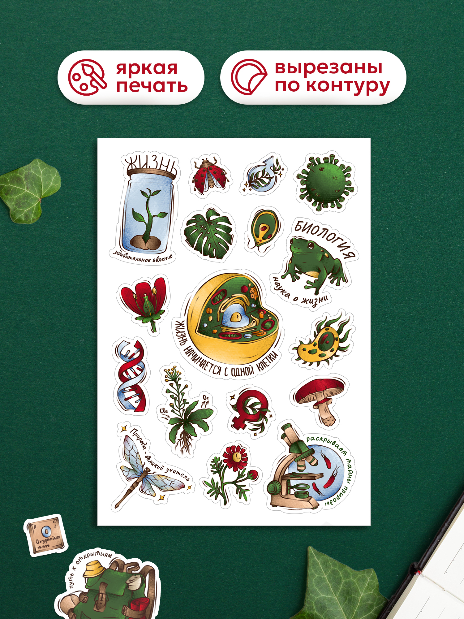 Стикеры Выручалкин «Химия, биология, география» 3 шт. - фото 3