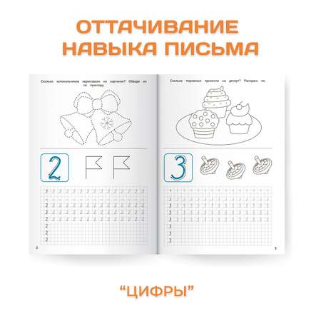 Прописи Проф-Пресс для хорошего почерка в комплекте из 4 шт А4 по 8 листов