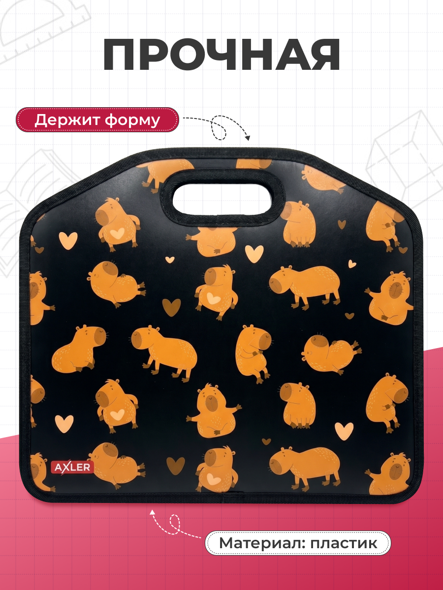Папка с ручками AXLER для мальчиков и девочек А4 - фото 4