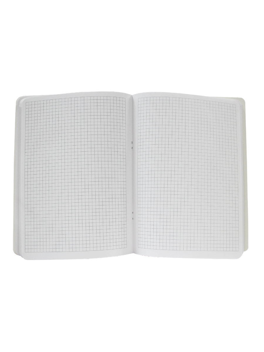 Блокнот Проф-Пресс в клетку А4. My big notebook 48 лист. - фото 7