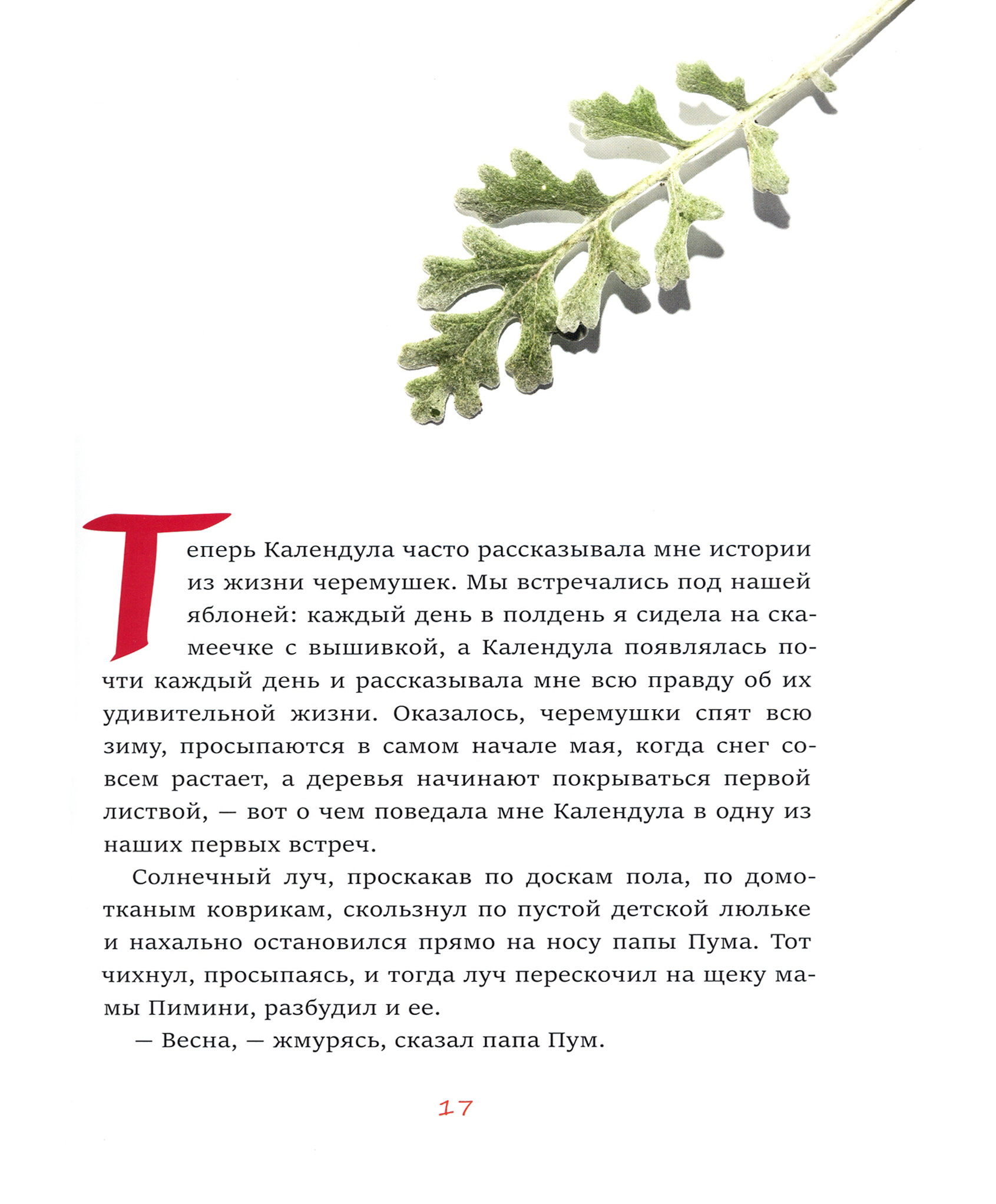 Книга Лабиринт Черемушки - фото 2