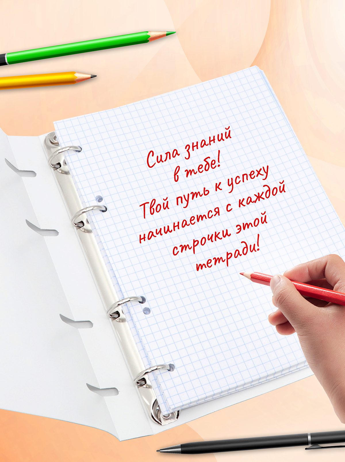 Тетрадь со сменным блоком ПАНДАРОГ клетка 80 лист. - фото 8