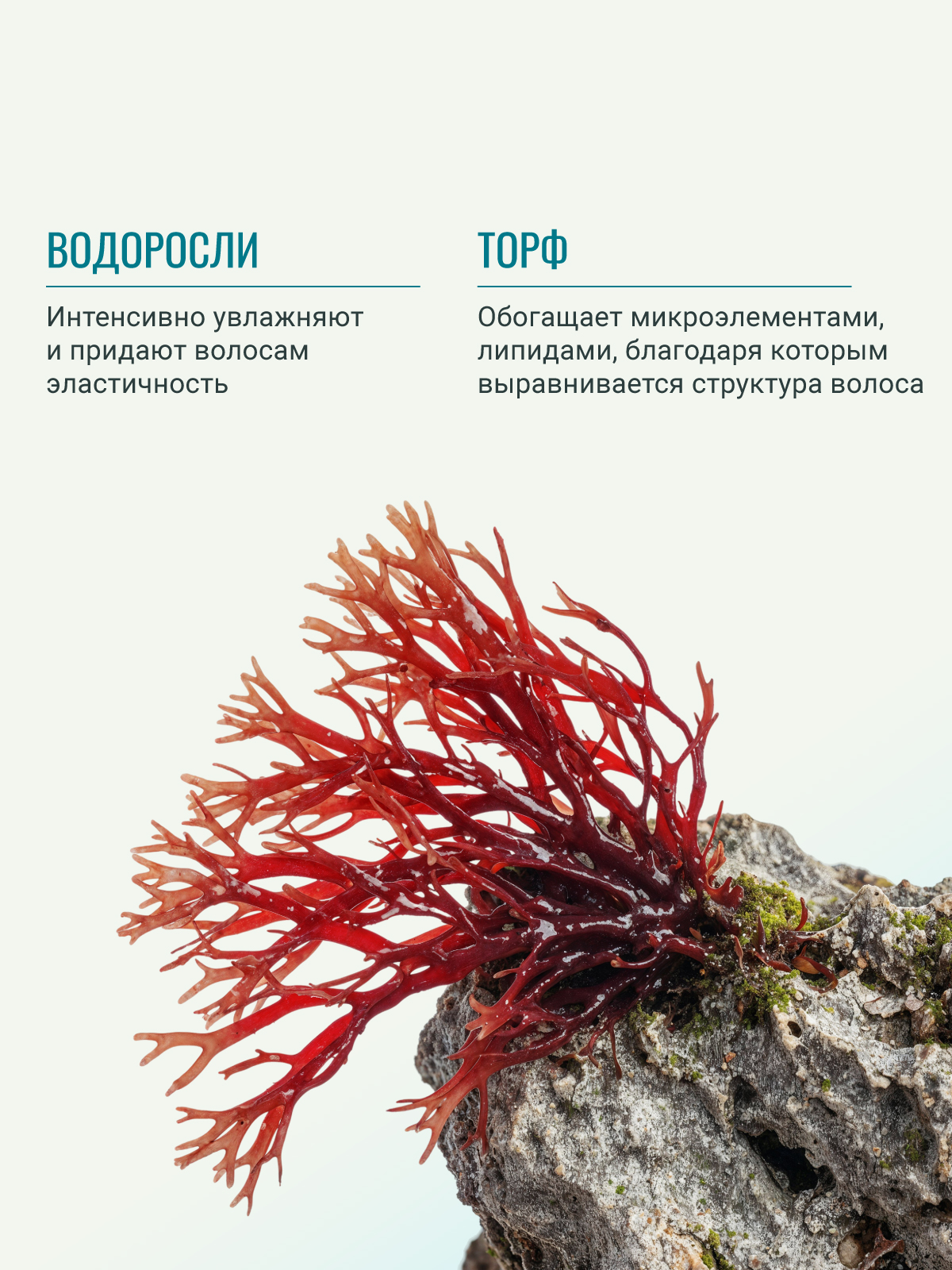 Крем-филлер ESTEL KIKIMORA для гладкости волос 100 мл - фото 3