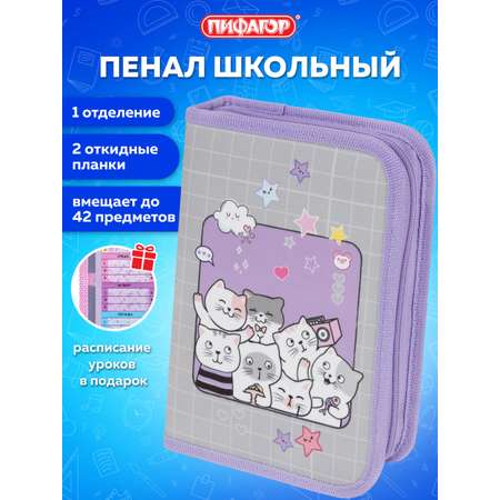 Пенал Пифагор