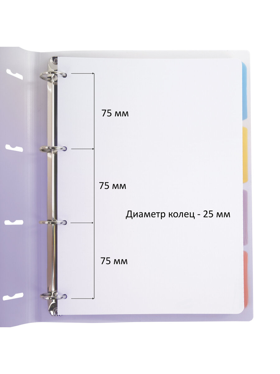 Тетрадь со сменным блоком Brauberg клетка 120 лист. - фото 6