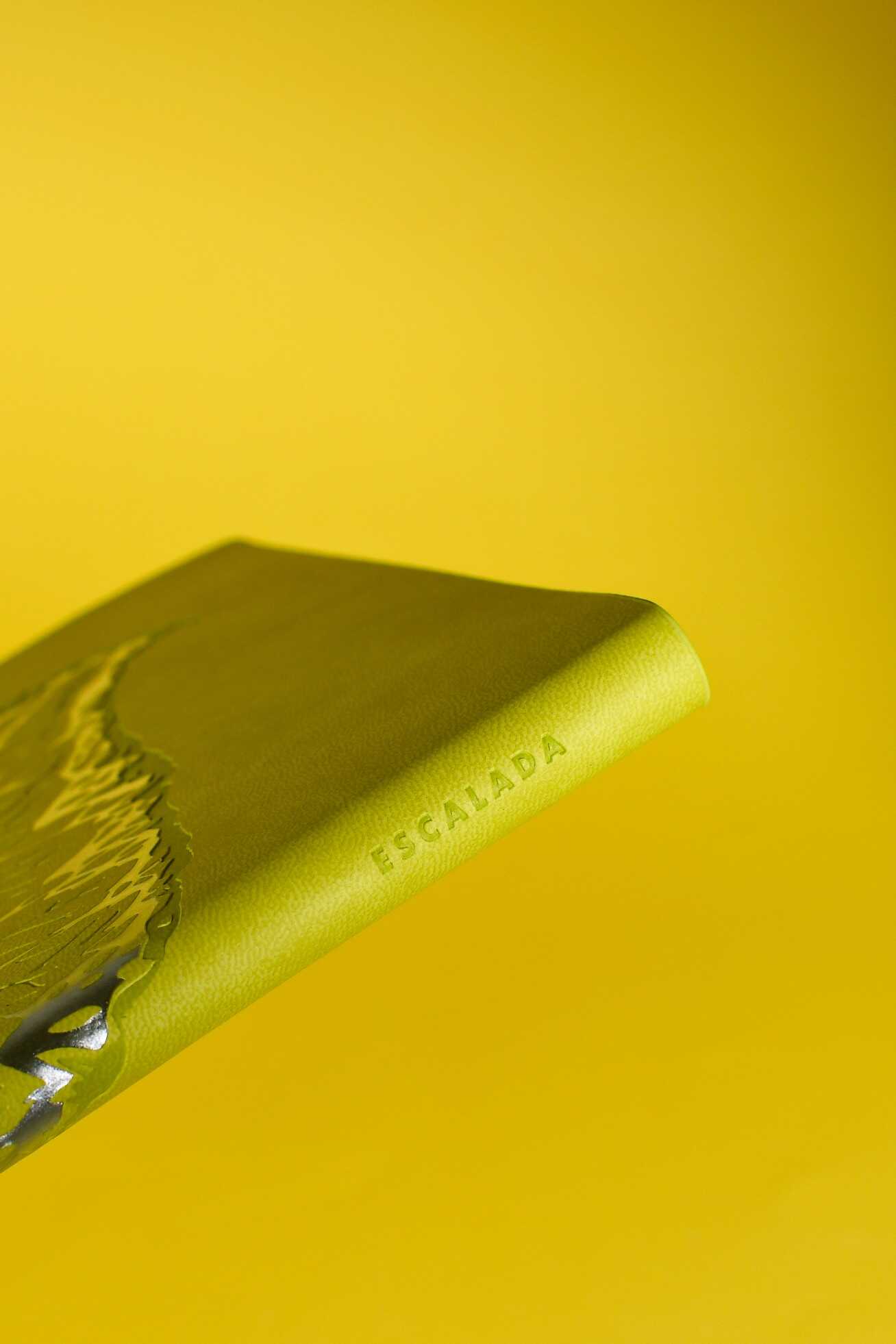 Ежедневник Феникс + ESCALADA 120 лист. - фото 8