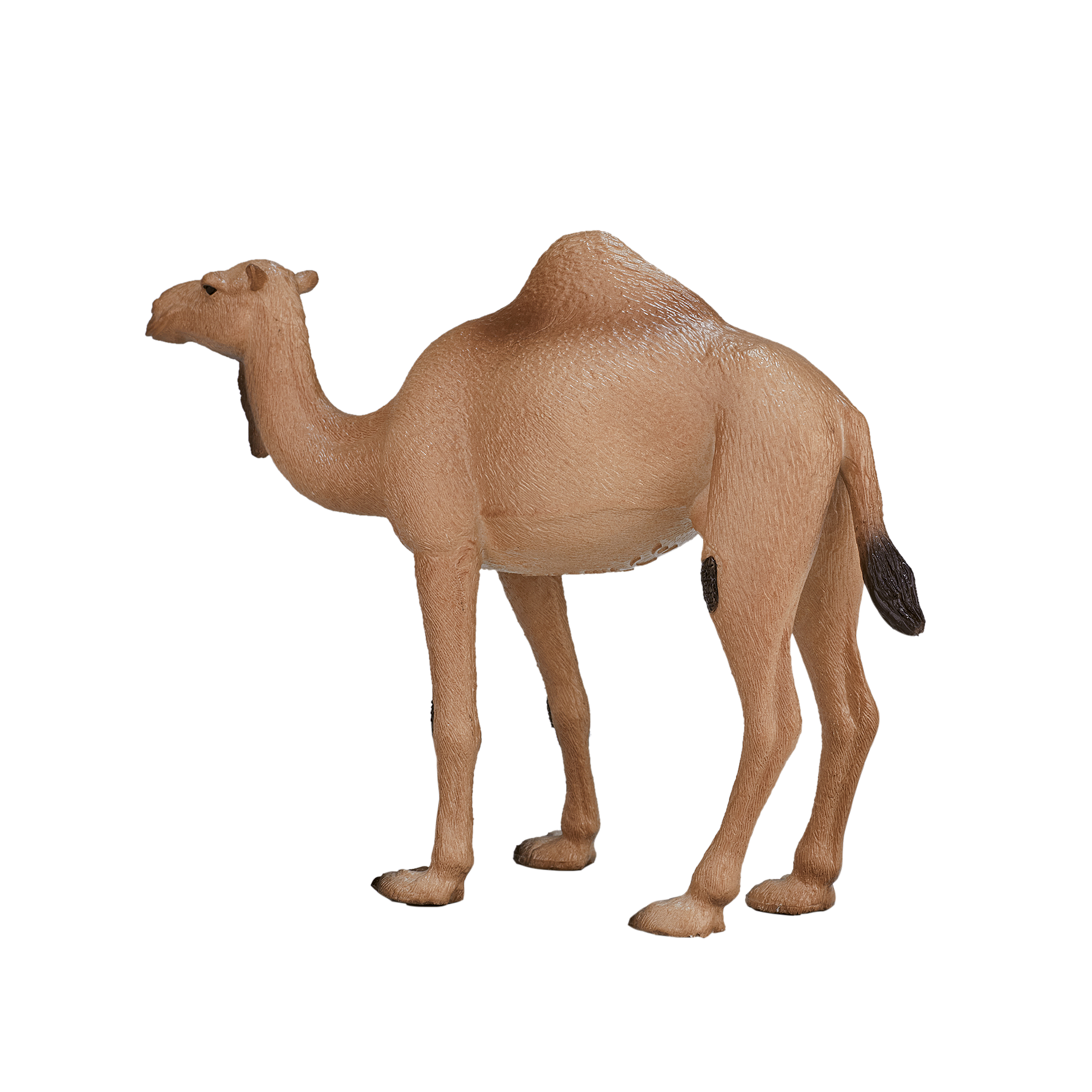 Фигурка KONIK Одногорбый верблюд - фото 4