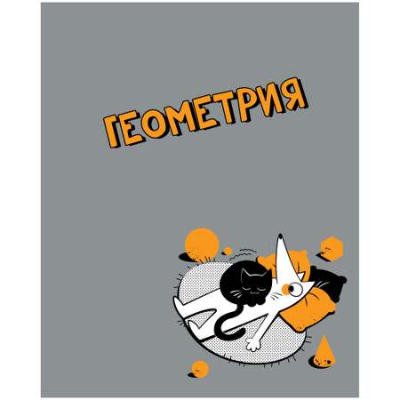Тетрадь Полиграф Принт 48 лист. (Геометрия)