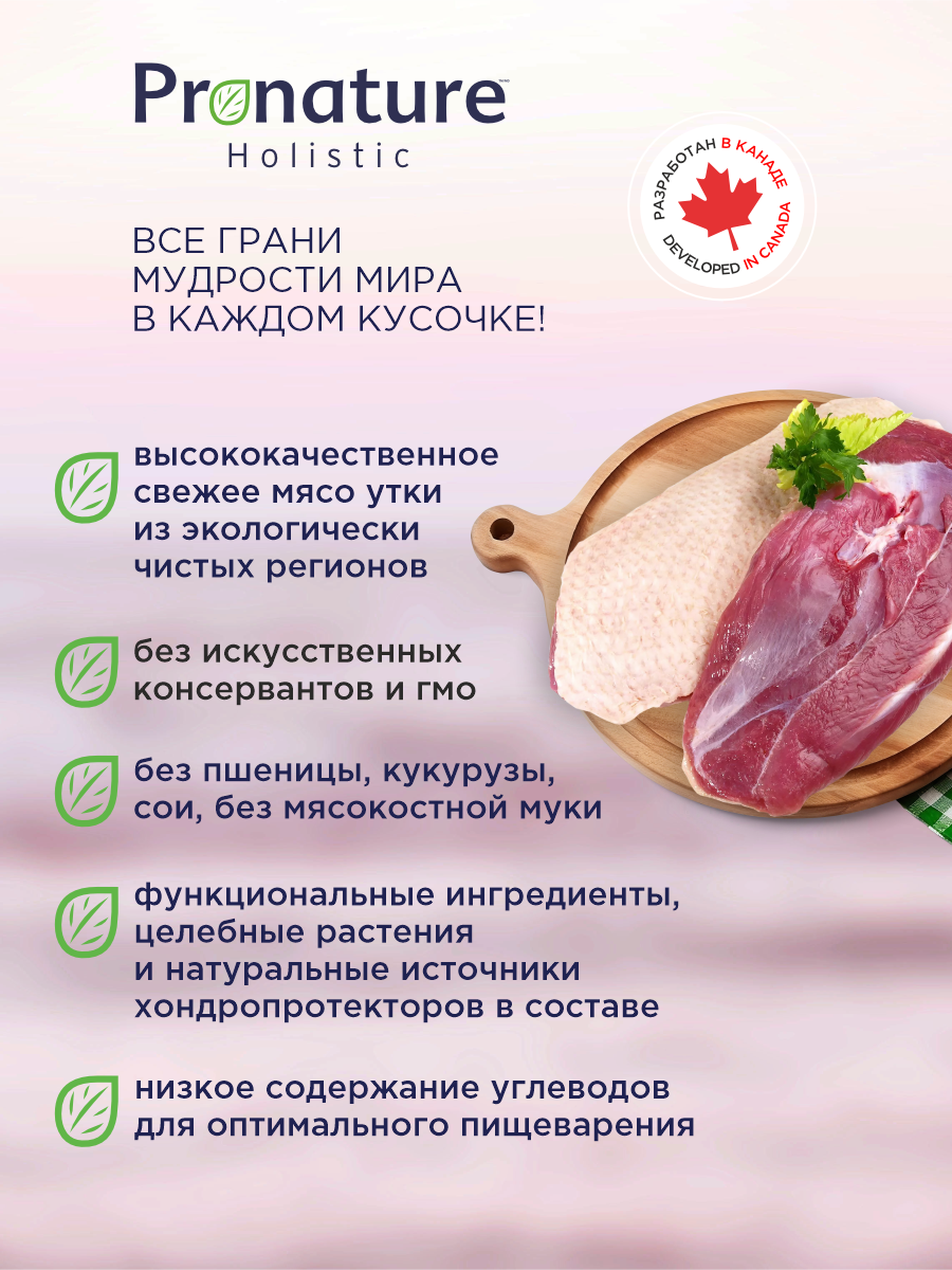 Корм для собак сухой Pronature Holistic Pan-Asia Grain Free беззерновой на утке с апельсином 340г - фото 2