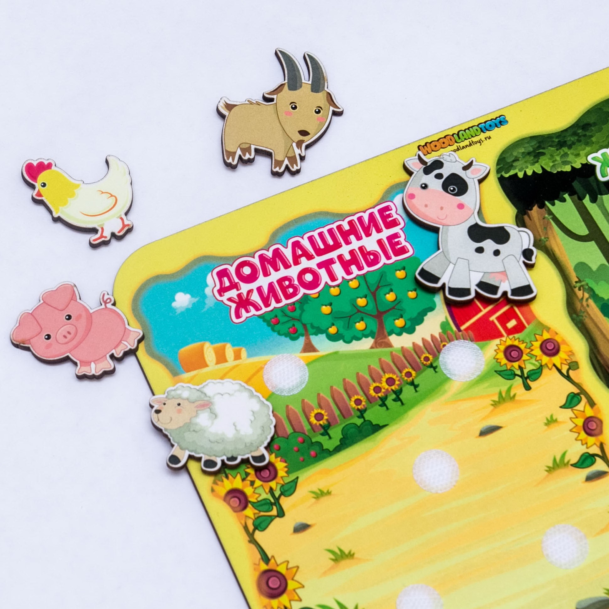 Игрушка WOODLANDTOYS сортер - фото 4