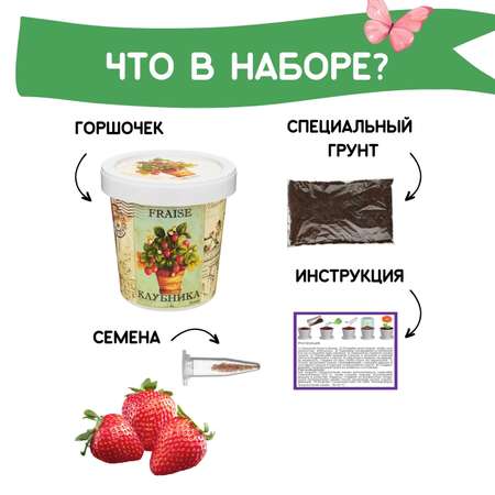 Набор для выращивания Rostok Visa