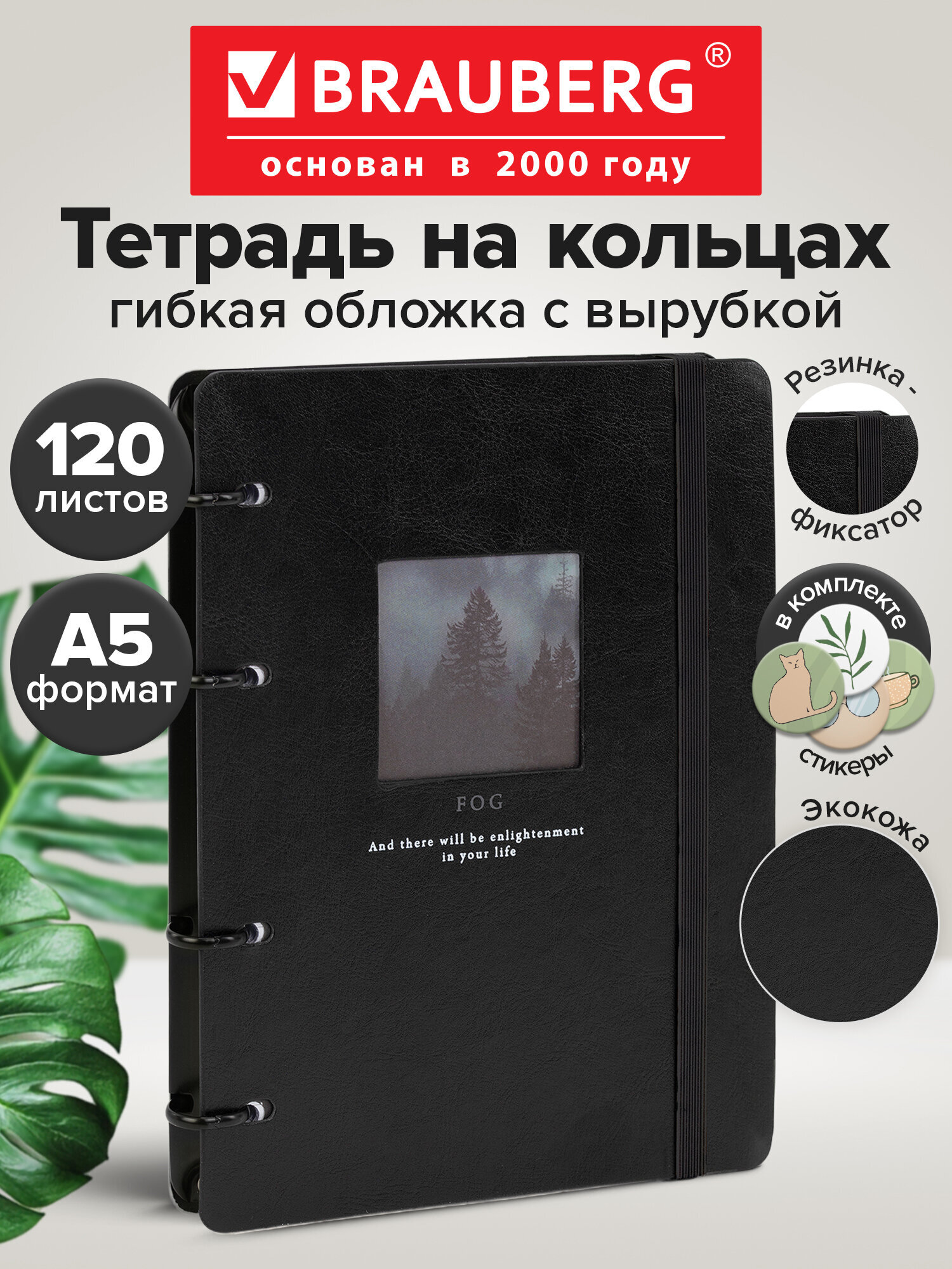 Тетрадь со сменным блоком Brauberg клетка 120 лист. - фото 1
