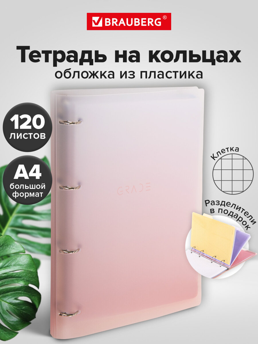 Тетрадь со сменным блоком Brauberg клетка 120 лист. - фото 1