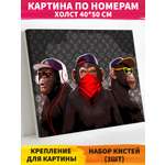 Картина по номерам Art on Canvas в ассортименте