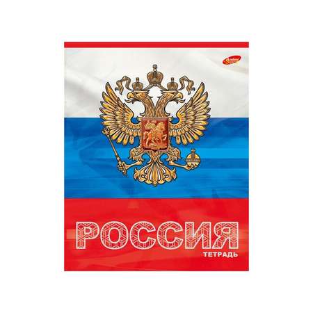Общая тетрадь Академия Холдинг клетка 48 лист.