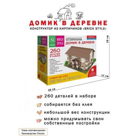 Конструктор Master IQ2 блочный