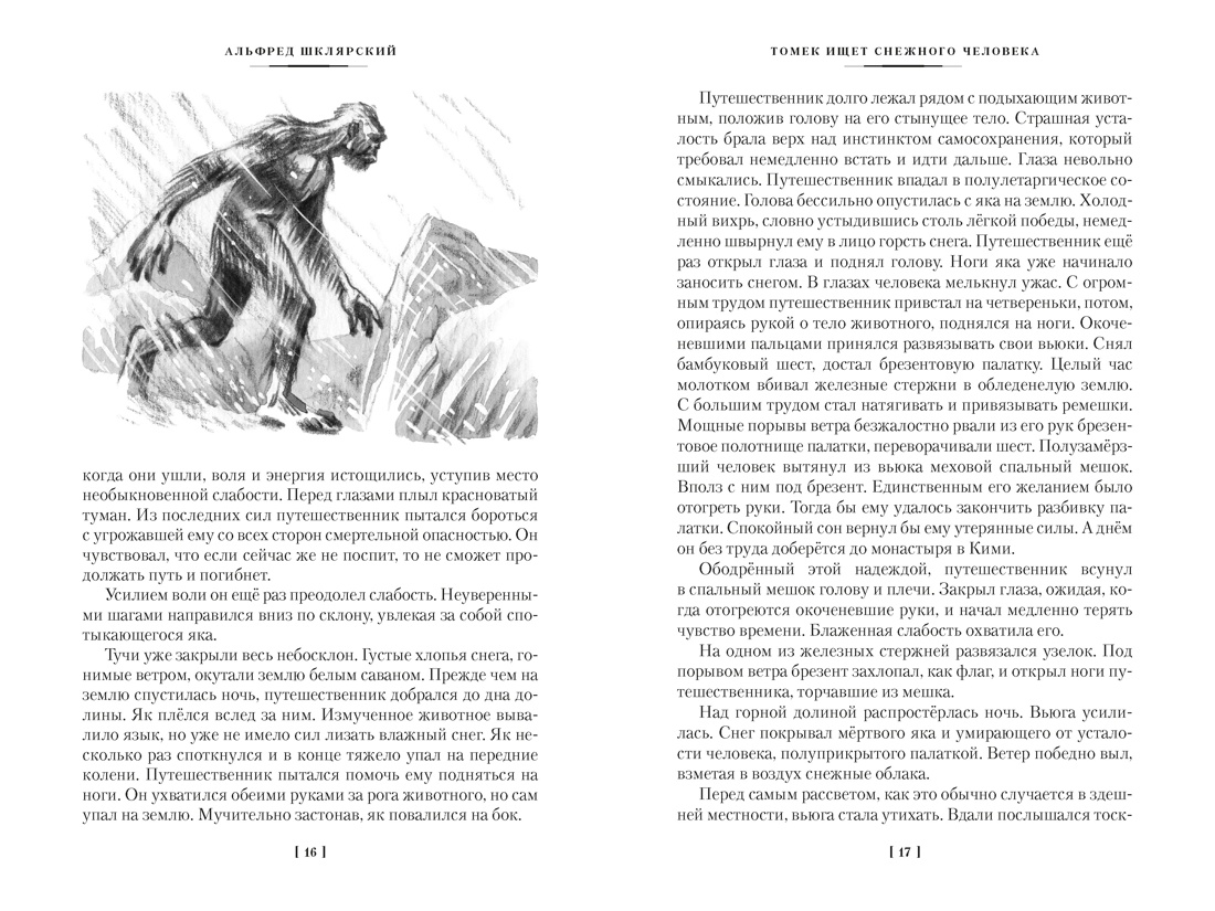 Книга АЗБУКА Шклярский А Томек ищет снежного человека и другие удивительные приключения - фото 15