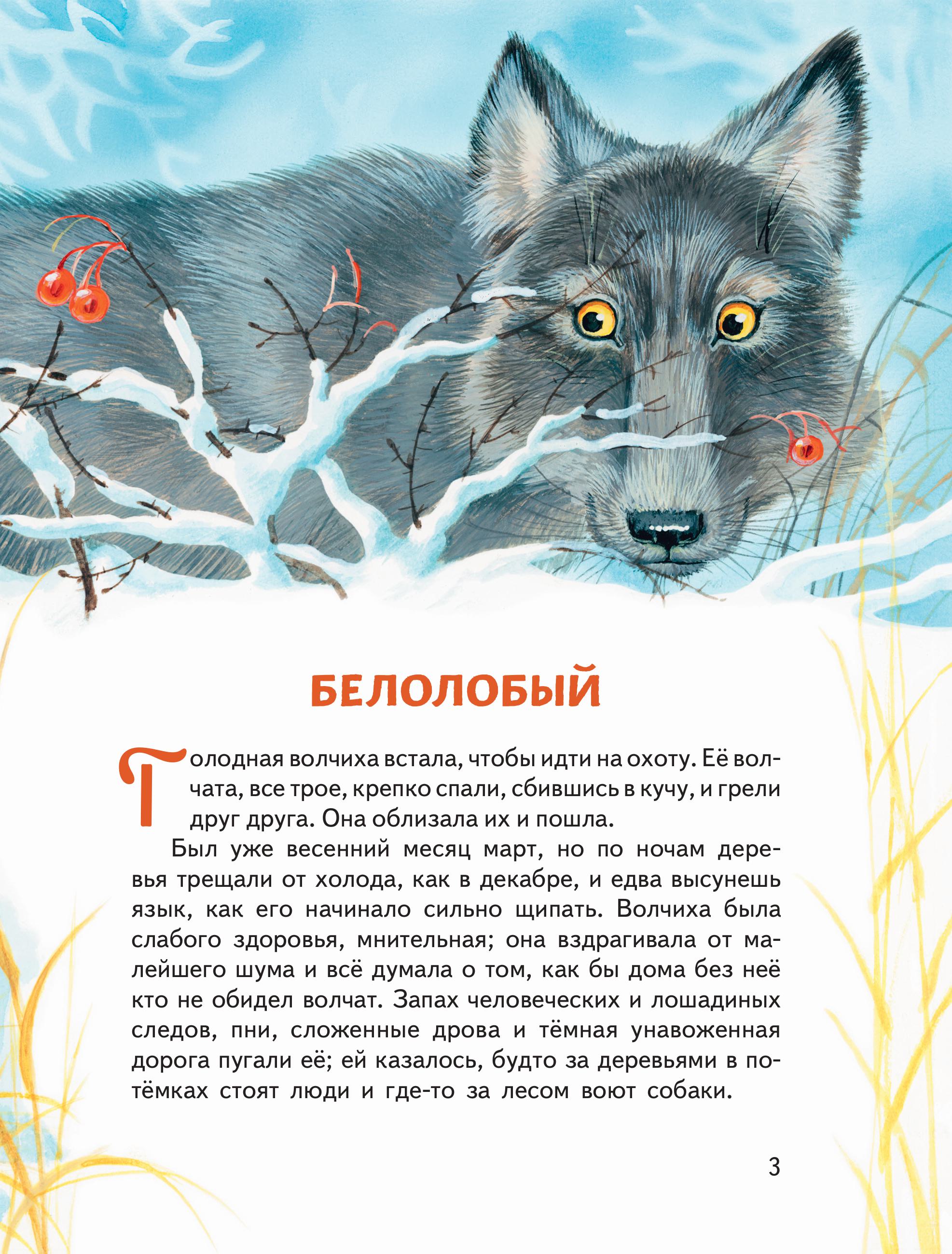 Книга Эксмо Усы, перья и хвосты. Рассказы русских писателей о животных (ил. М. Белоусовой) - фото 4