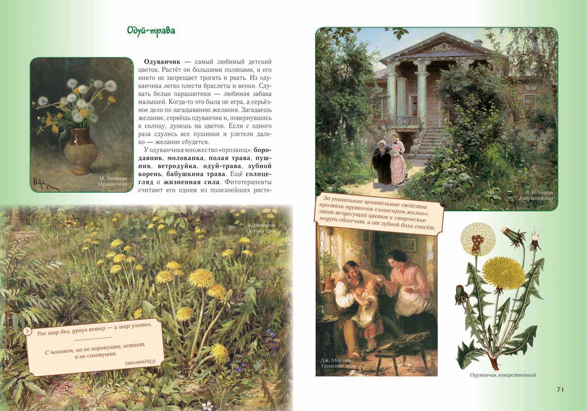 Книга Белый город Детский травник. - 2-е изд. - фото 8