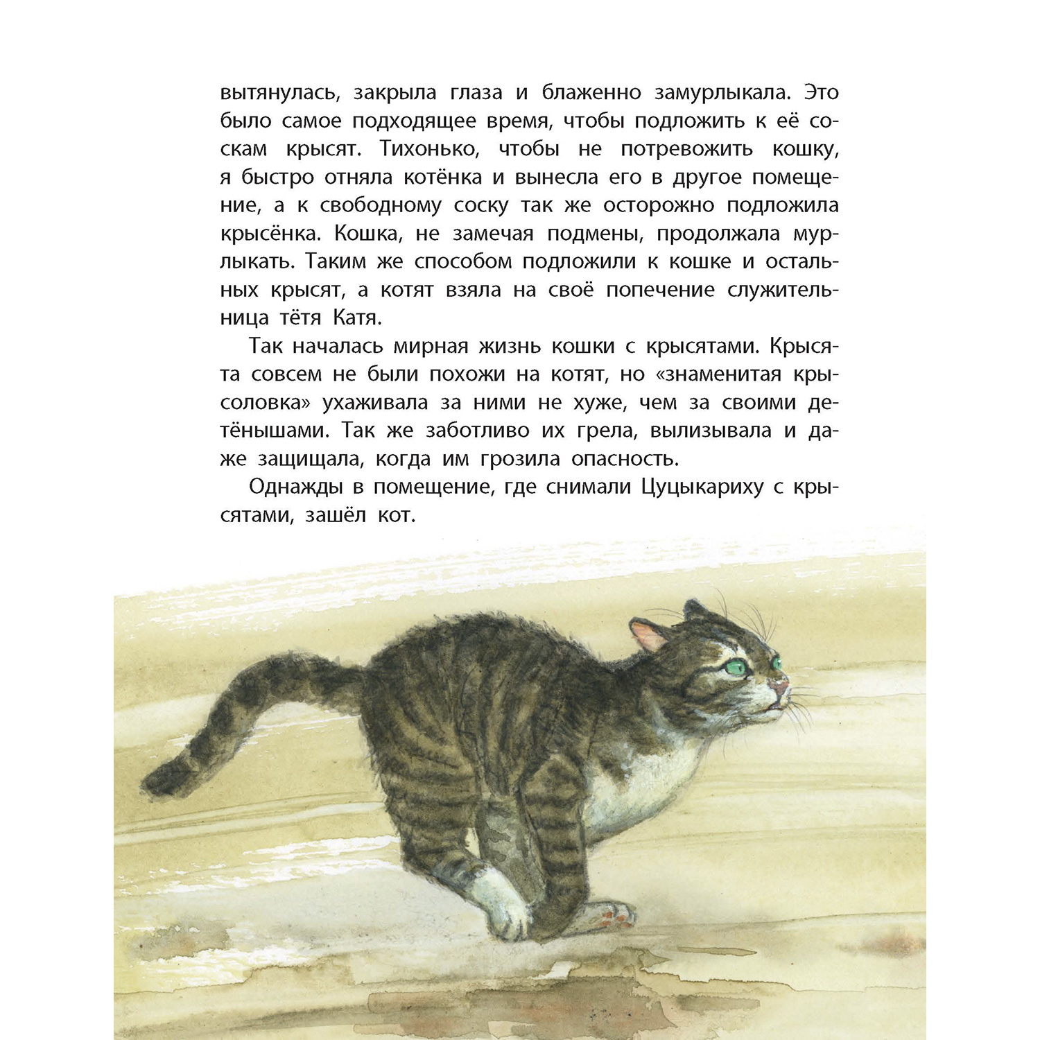 Книга ЭНАС-КНИГА Обыкновенные кошки - фото 8