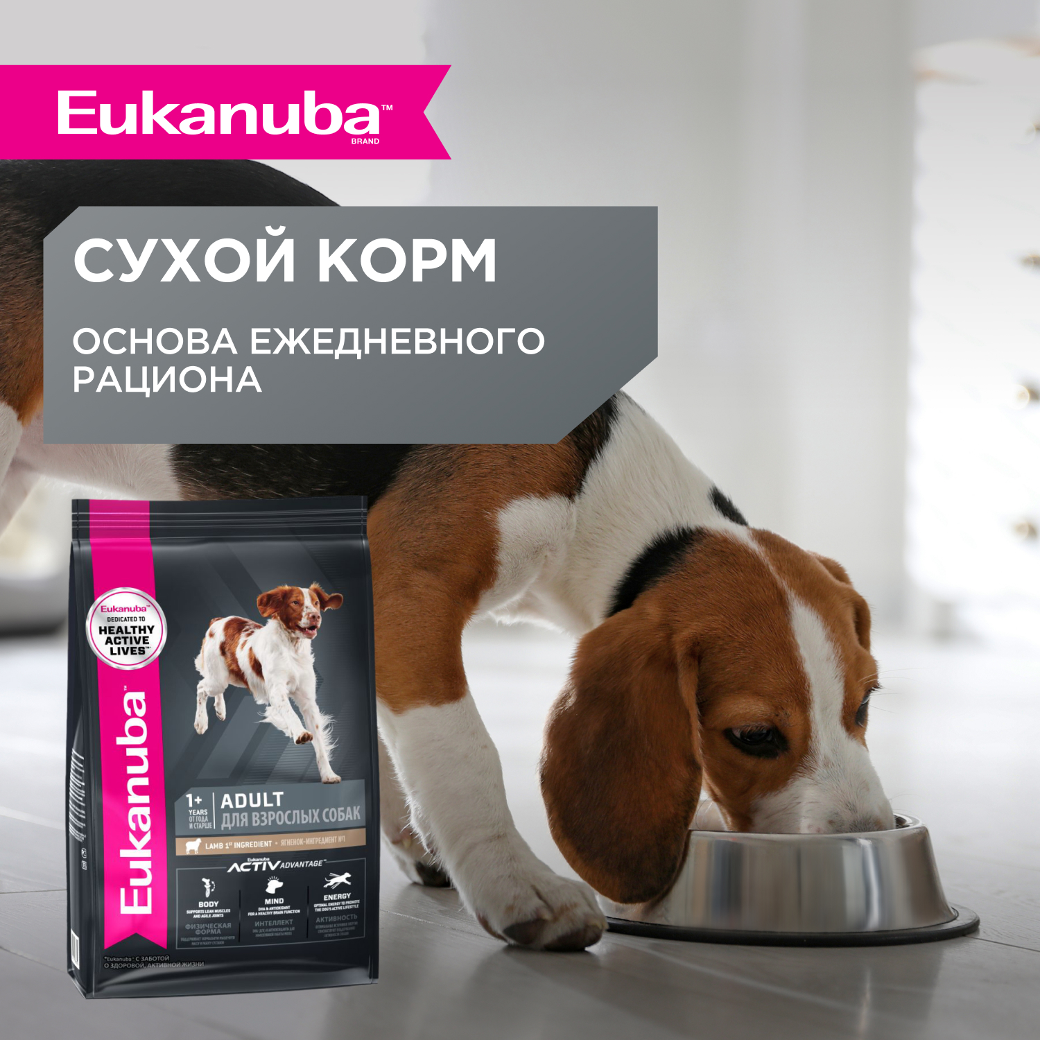 Корм для собак Eukanuba 100г с ягненком в соусе пауч - фото 6