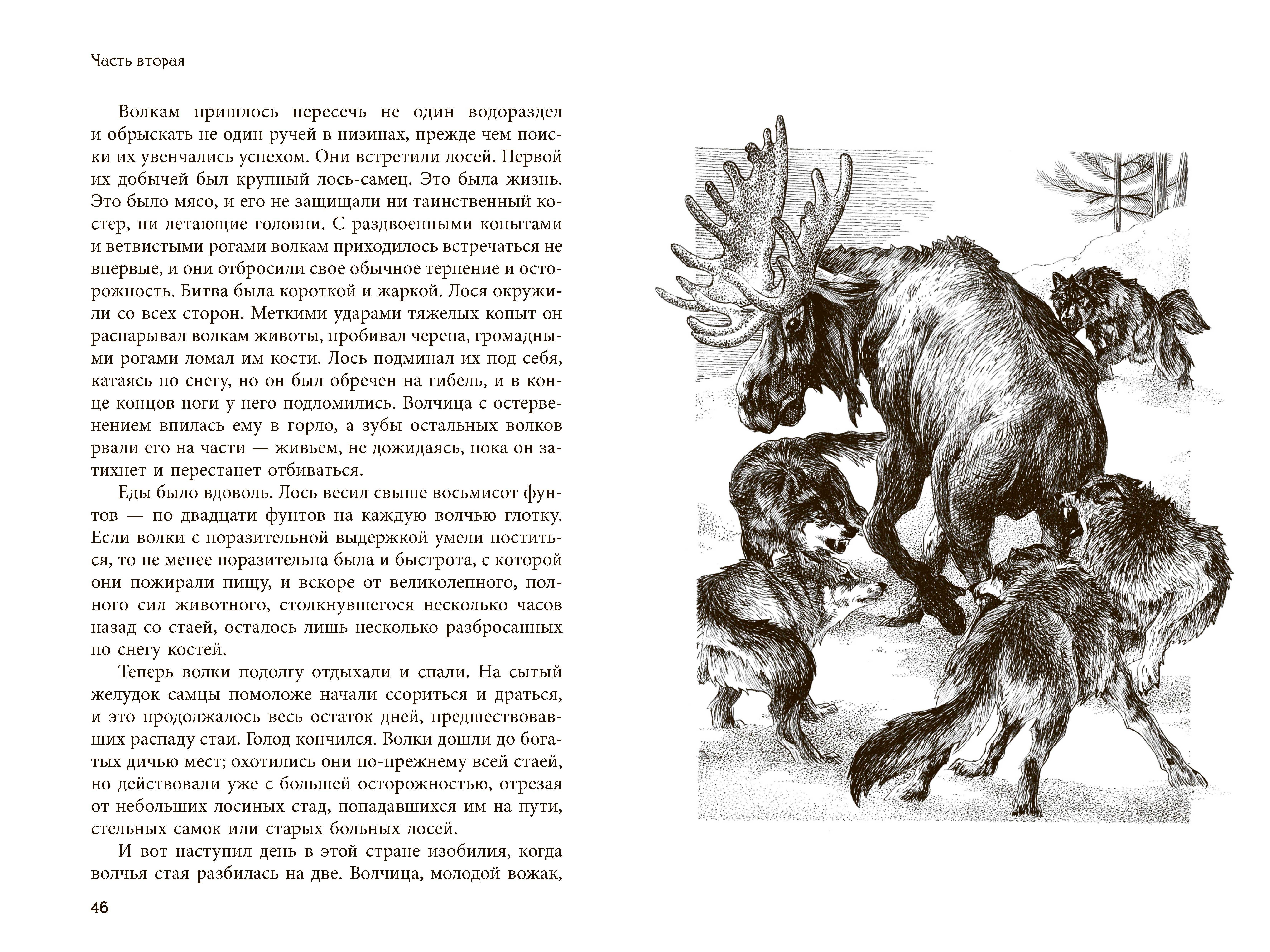 Книга Качели Белый Клык - фото 4