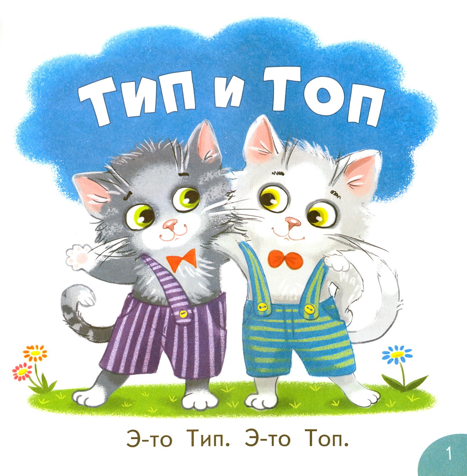 Книга Качели Тип и Топ - фото 5