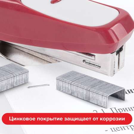 Скобы Staff