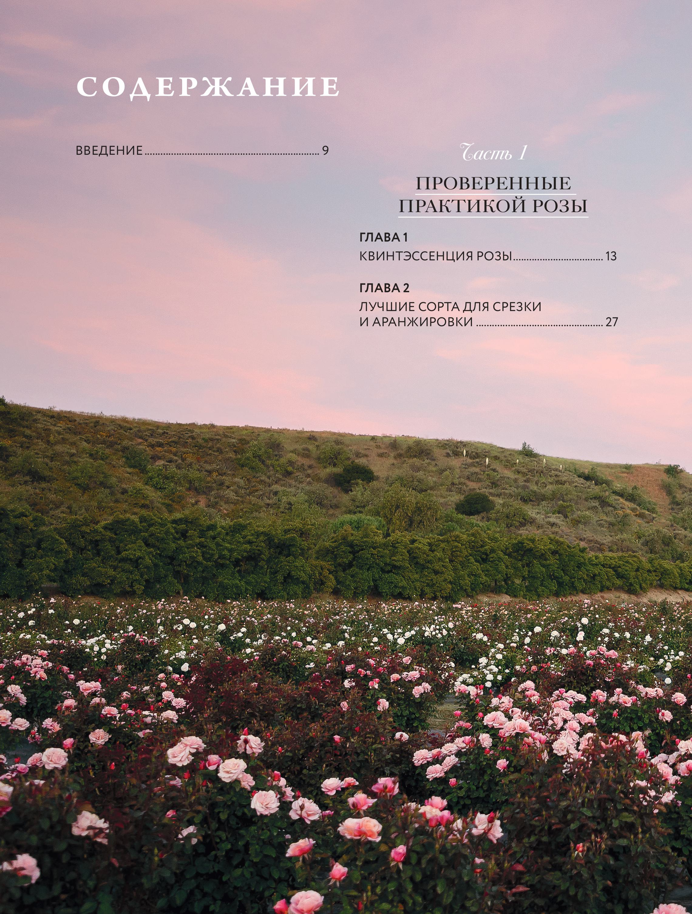 Книга БОМБОРА Садовые розы. Полное руководство по выращиванию - фото 2