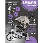 Трехколесный велосипед Velobibi 10 дюймов