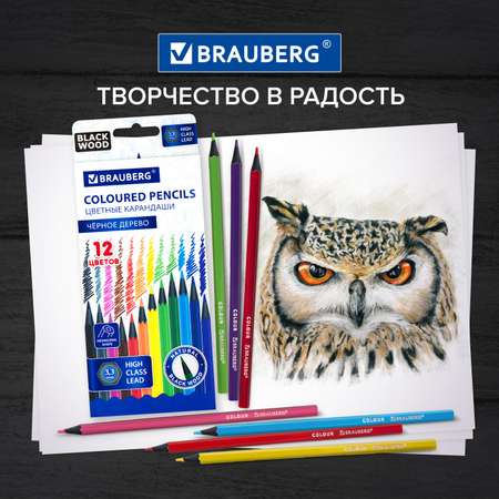 Карандаши цветные Brauberg 12 шт.