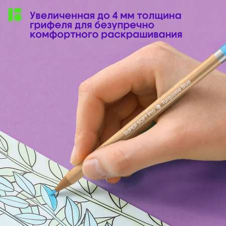 Карандаши цветные BERLINGO 36 шт.