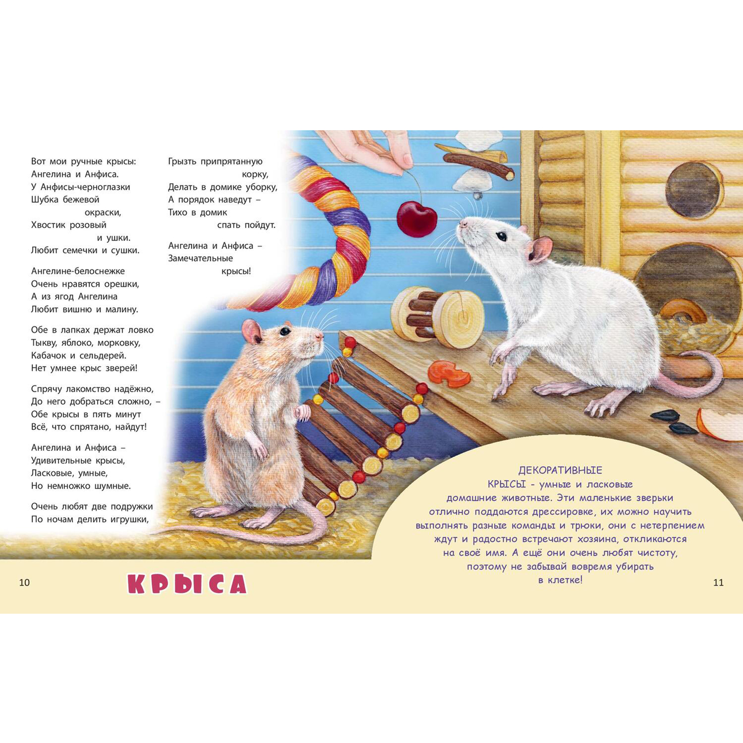 Книга ЭНАС-книга Домашние питомцы - фото 5