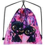 Мешок для обуви SkyName